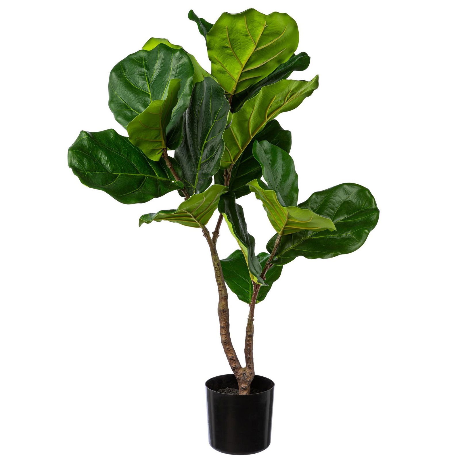 Künstliche Geigenfeige 'Ficus lyrata', Höhe ca. 80 cm