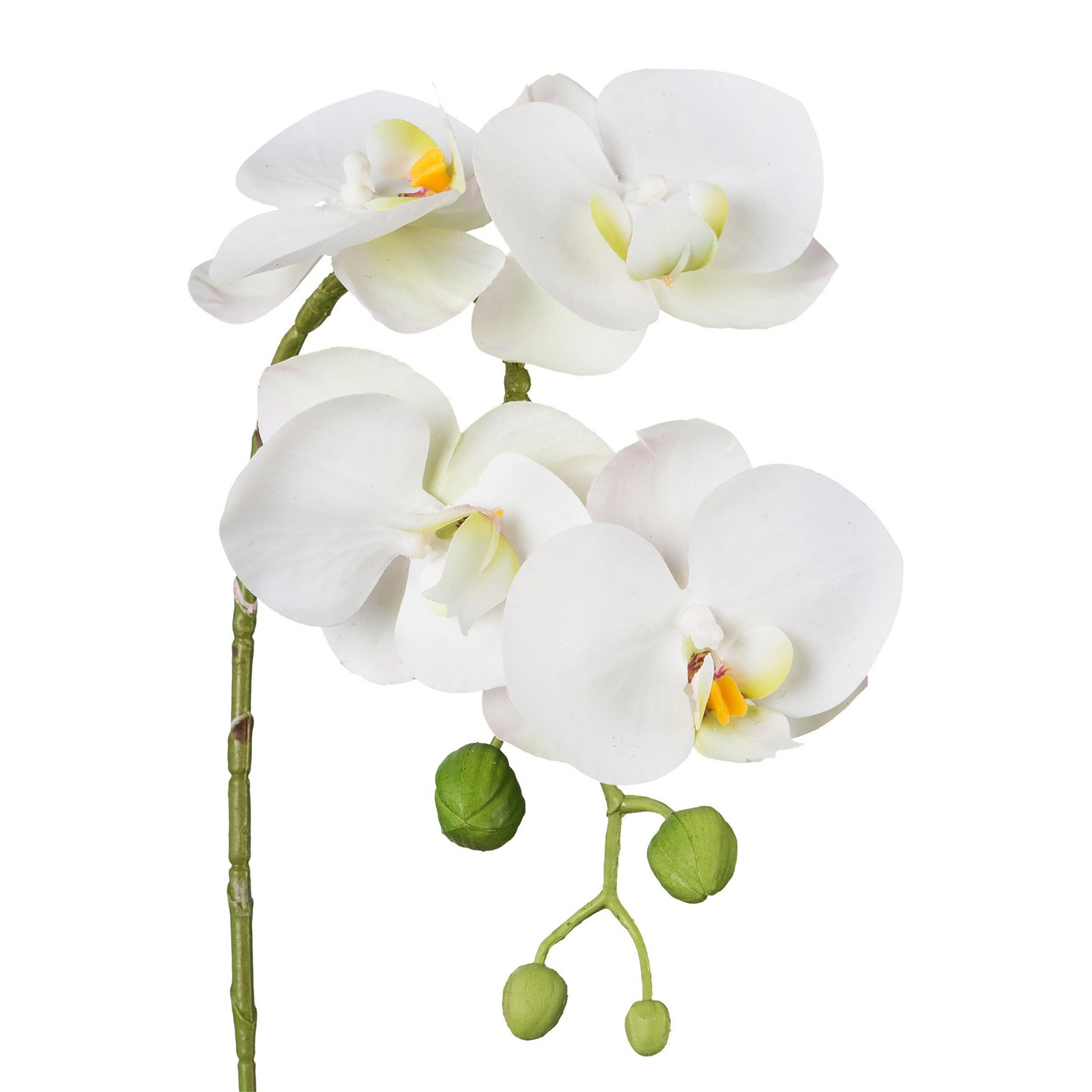 Kunstpflanze Phalaenopsis 'Real Touch', 4 Blüten, weiß, Höhe ca. 42 cm