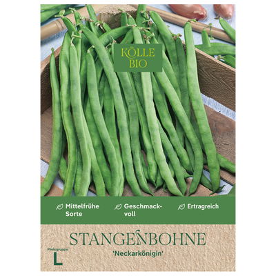 Kölle Bio Saatgut, Stangenbohne 'Neckarkönigin'