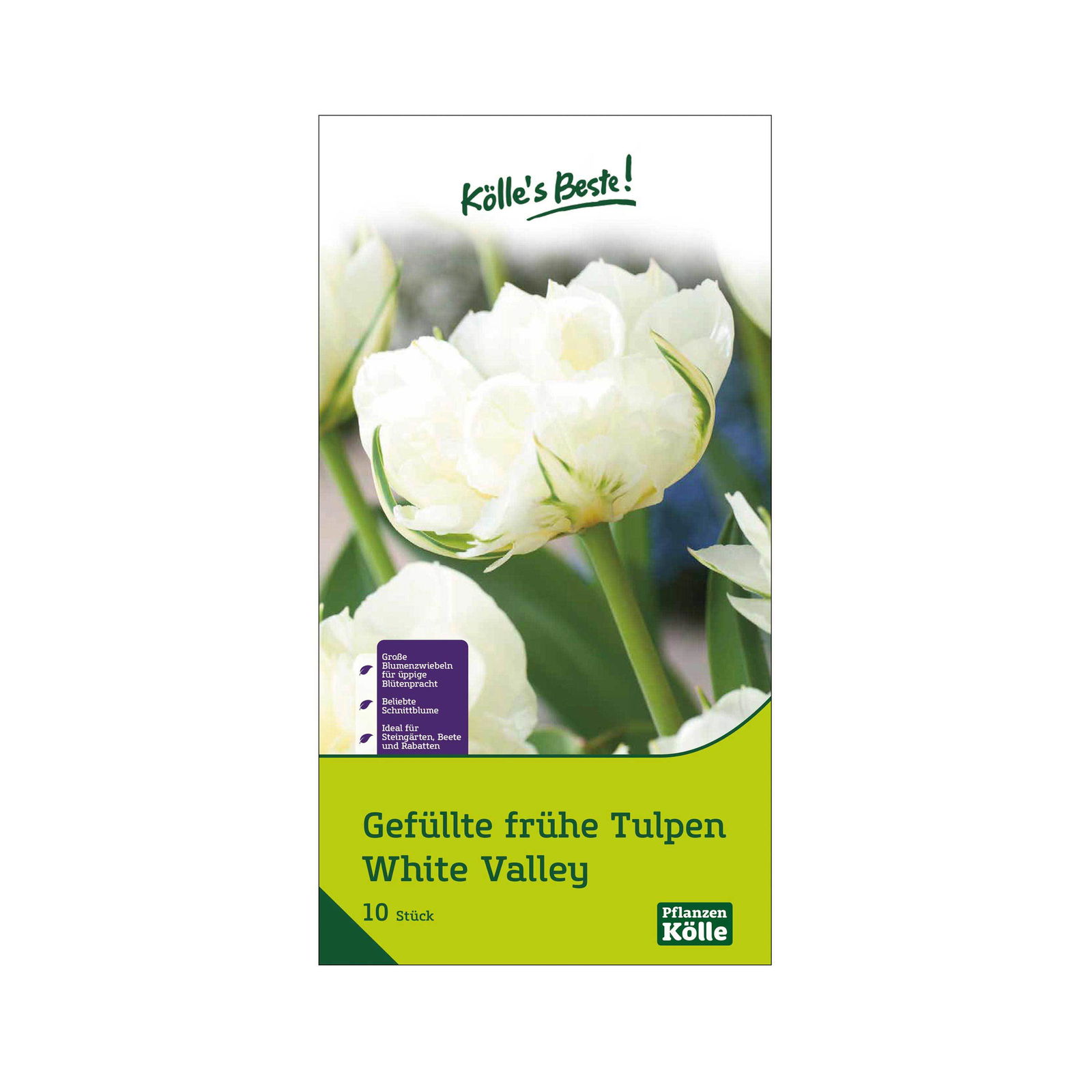 Tulpen 'White Valley', gefüllt, Weiß, 10 Blumenzwiebeln, Größe 11/12