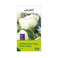 Tulpen 'White Valley', gefüllt, Weiß, 10 Blumenzwiebeln, Größe 11/12