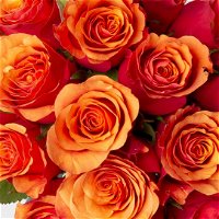 Blumenbund mit Rosen 'Espana, orange-rot, 15er-Bund, inkl. gratis Grußkarte