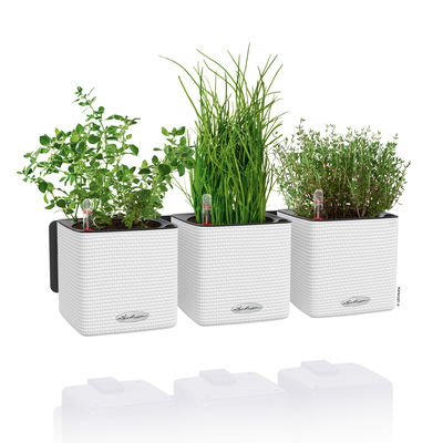 Lechuza 'Green Wall Home Kit Color', weiß, ca. 48 x 15 x H 14 cm Lechuza 'Green Wall Home Kit Color', weiß, ca. 48 x 15 x H 14 cm