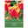 Gefüllte frühe Tulpen Cilesta rot mit gelbem Rand, 7 Blumenzwiebeln