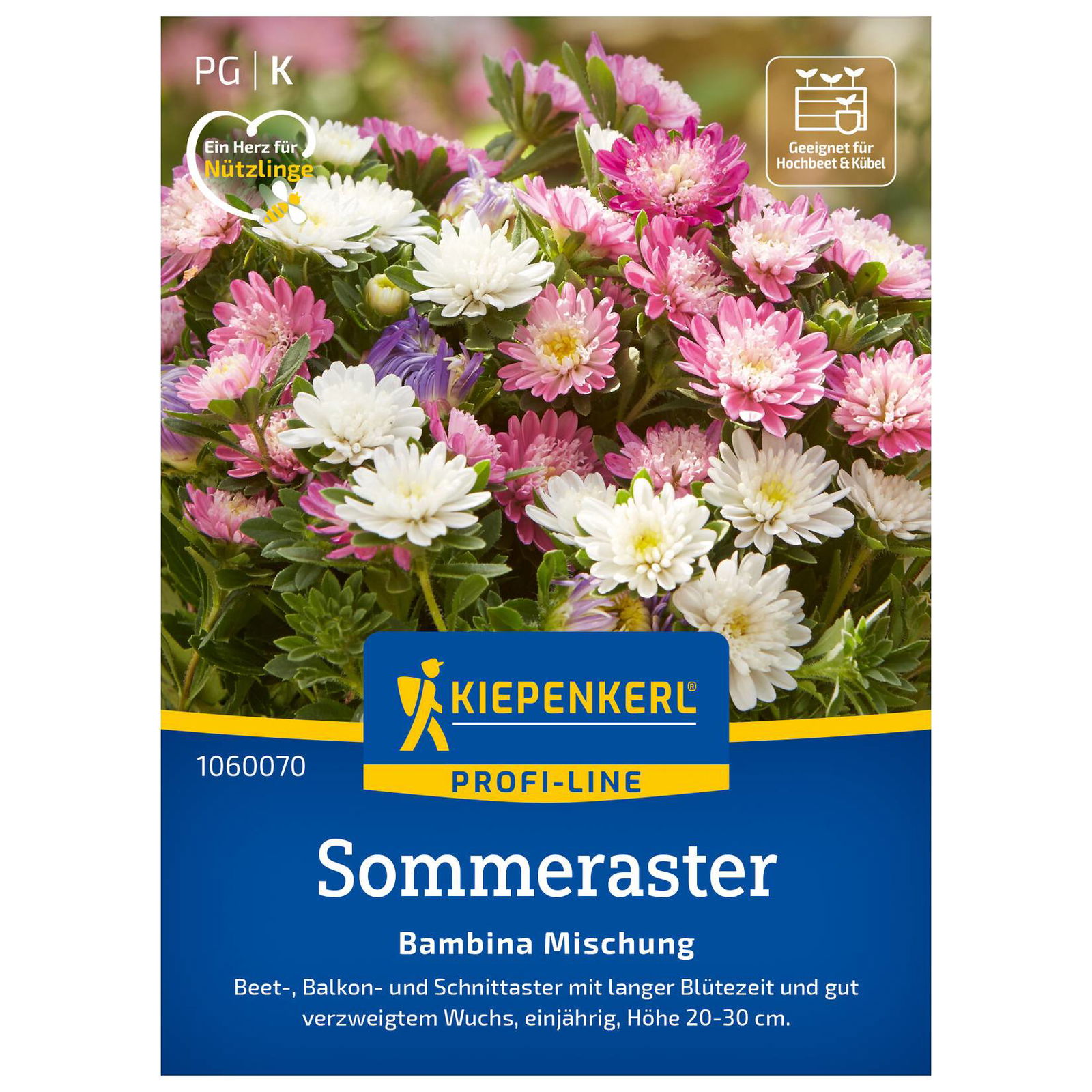 Aster 'Bambina', rosa, ca. 30 Samen