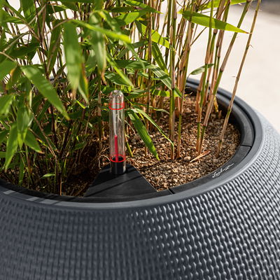 Lechuza 'Puro Color 50', schiefergrau, ca. Ø 50 x H 39 cm Lechuza 'Puro Color 50', schiefergrau, ca. Ø 50 x H 39 cm