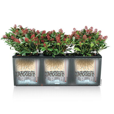 Lechuza 'Trio Cottage 30', lichtgrau, ca. 100 x 32,5 x H 34,5 cm