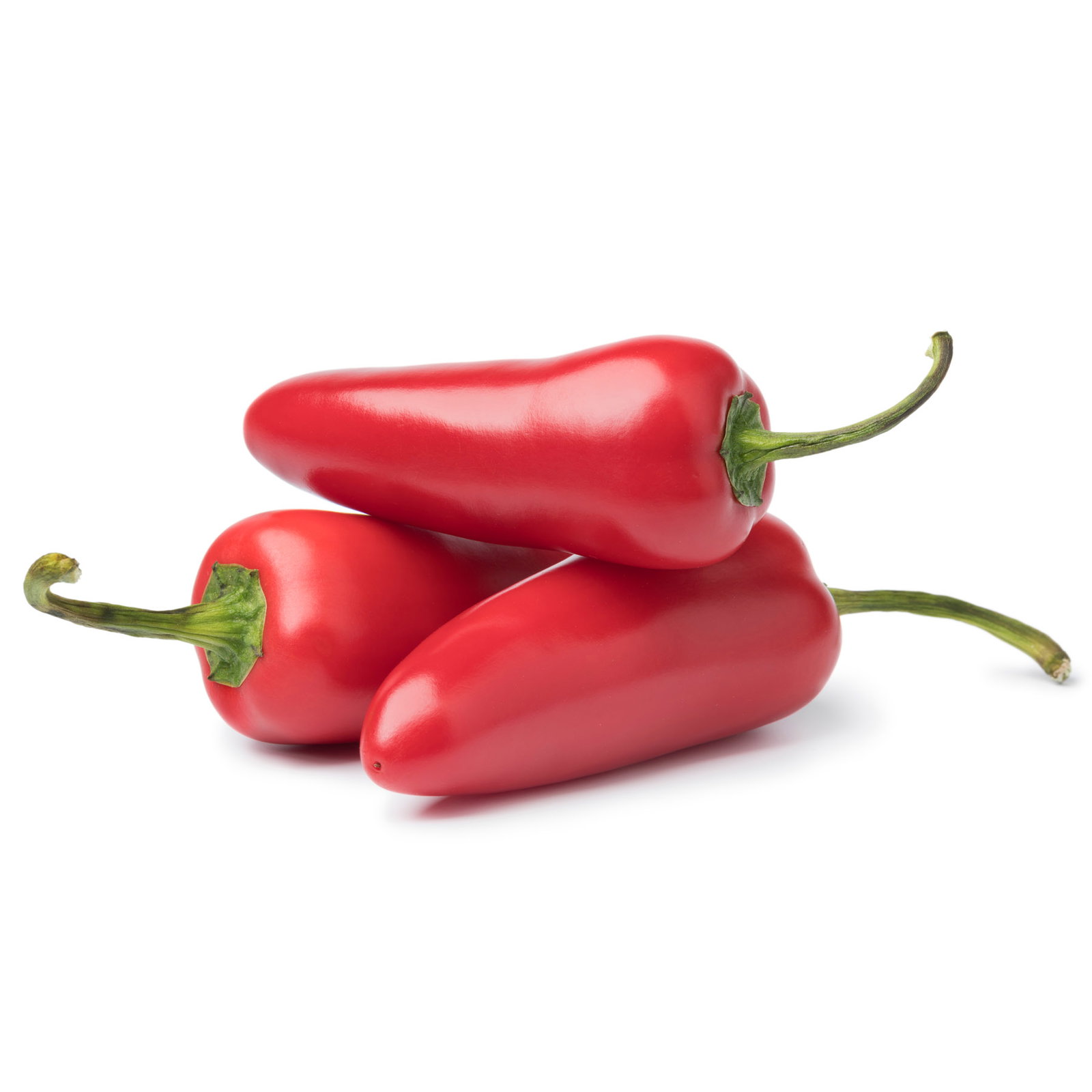 Bio Jalapeno 'Japo', Topf-Ø 12 cm, 3 Pflanzen