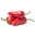 Bio Jalapeno 'Japo', Topf-Ø 12 cm, 3 Pflanzen