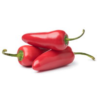 Bio Jalapeno 'Japo', Topf-Ø 12 cm, 3 Pflanzen