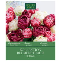 Kollektion Blumenstrauß, 10 Blumenzwiebeln