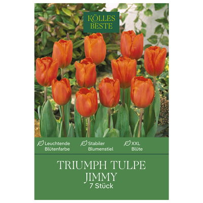 Triumph Tulpen Jimmy rot/orange, 7 Blumenzwiebeln