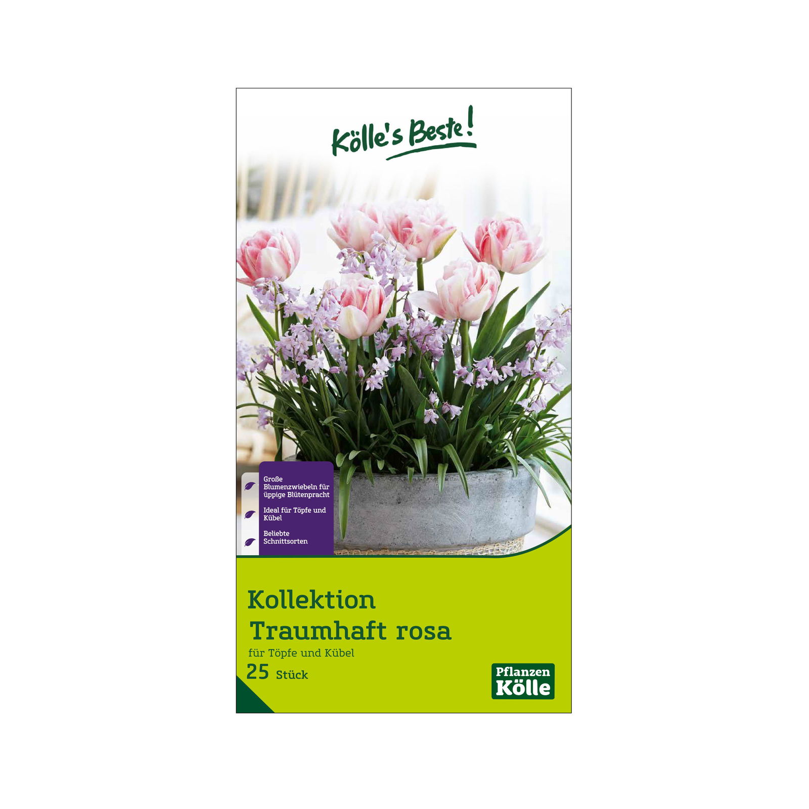 Tulpenkollektion 'Traumhaft Rosa', rosa, Größe 12+, 7/8, 25 Blumenzwiebeln