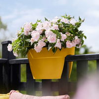 Elho Pflanzgefäß 'Vibia Campana Flower Bridge', gelb Elho Pflanzgefäß 'Vibia Campana Flower Bridge', gelb