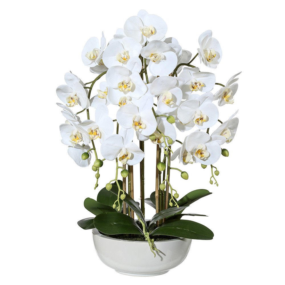 Kunstpflanze Phalaenopsis in Keramikschale weiß, ca. 66 cm