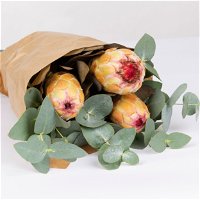Blumenbund Protea & Eukalyptus, inkl. gratis Grußkarte