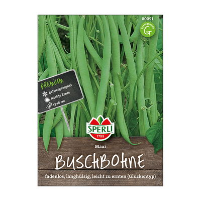 Gemüsesamen, Buschbohnen 'Maxi' Gemüsesamen, Buschbohnen 'Maxi'
