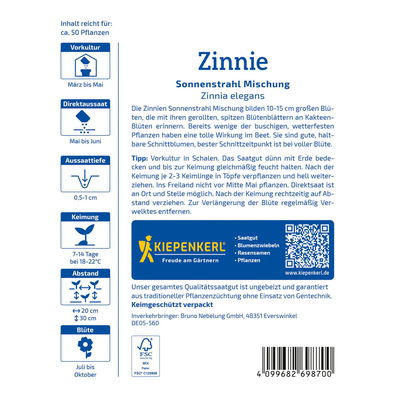 Saatgut, Kaktus-Zinnie 'Sonnenstrahl-Mischung' Saatgut, Kaktus-Zinnie 'Sonnenstrahl-Mischung'