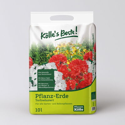 Pflanzenkreation Vorweihnachtszeit, 5 Pflanzen + Lichterkette + Erde