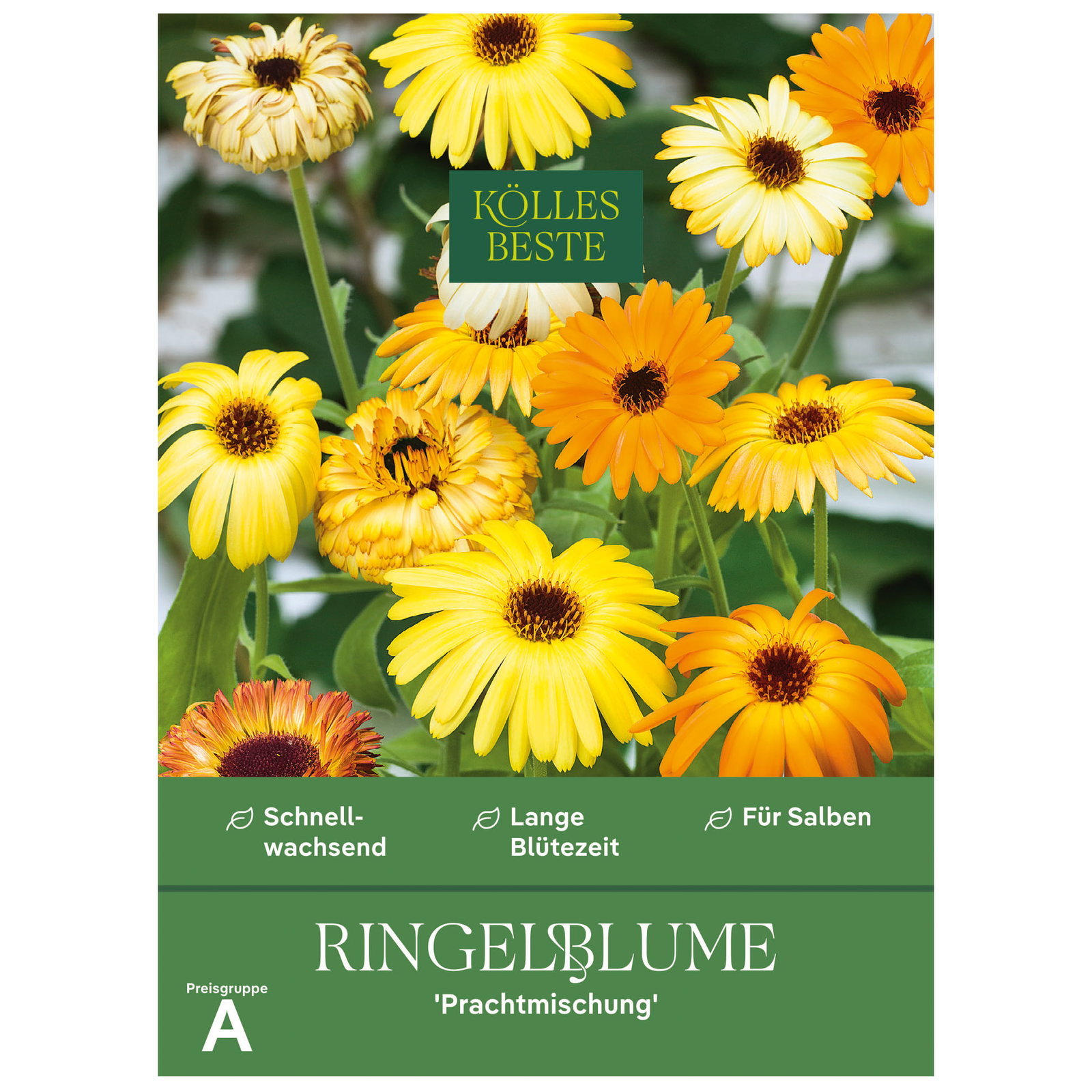 Kölles Beste Blumensamen, Ringelblumen 'Prachtmischung' Kölles Beste Blumensamen, Ringelblumen 'Prachtmischung'