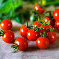 Bio Cherrytomate 'Baby Boomer', Topf-Ø 12 cm, 3 Pflanzen