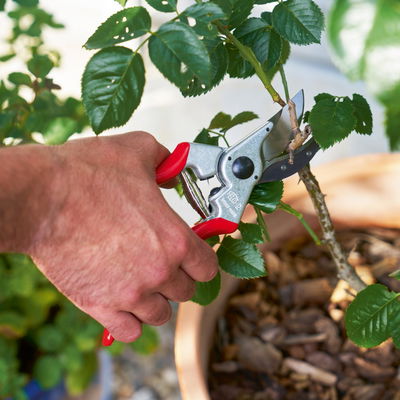 Felco Gartenschere Nr. 2