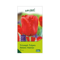 Triumph-Tulpen 'Heleen Valstar', Rosa, 10 Blumenzwiebeln, Größe 11/12