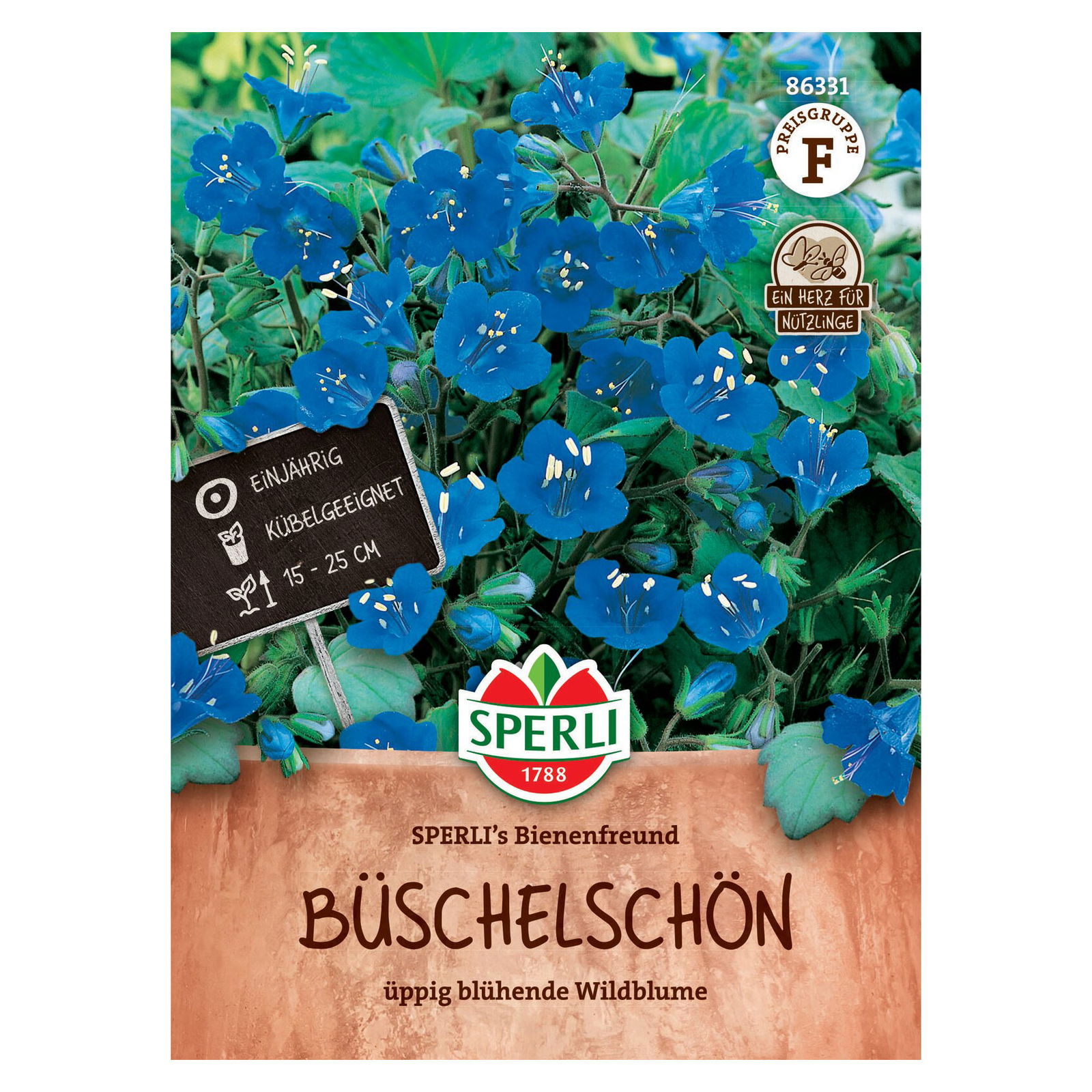 Saatgut Büschelschön 'Sperli’s Bienenfreund'