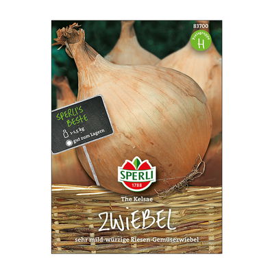 Gemüsesamen, Zwiebeln 'The Kelsae'