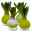 Hyazinthe in Wachs, Wachs und Blüte zufällig, grün, 4er-Set
