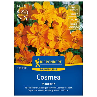 Blumensamen, Schmuckkörbchen 'Mandarin' Blumensamen, Schmuckkörbchen 'Mandarin'