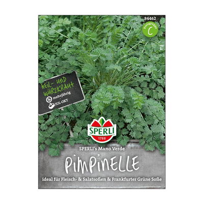 Sperli's Pimpinelle Mano Verde, Sanguisorba minor Sperli's Pimpinelle Mano Verde, Sanguisorba minor