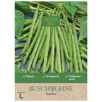 Kölle Bio Gemüsesamen, Buschbohne 'Domino' Kölle Bio Gemüsesamen, Buschbohne 'Domino'