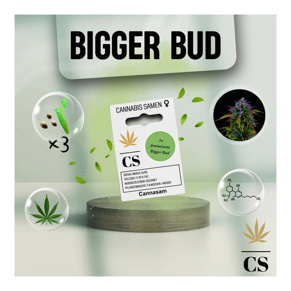 Cannabis Saatgut Hanf 'Bigger Bud'