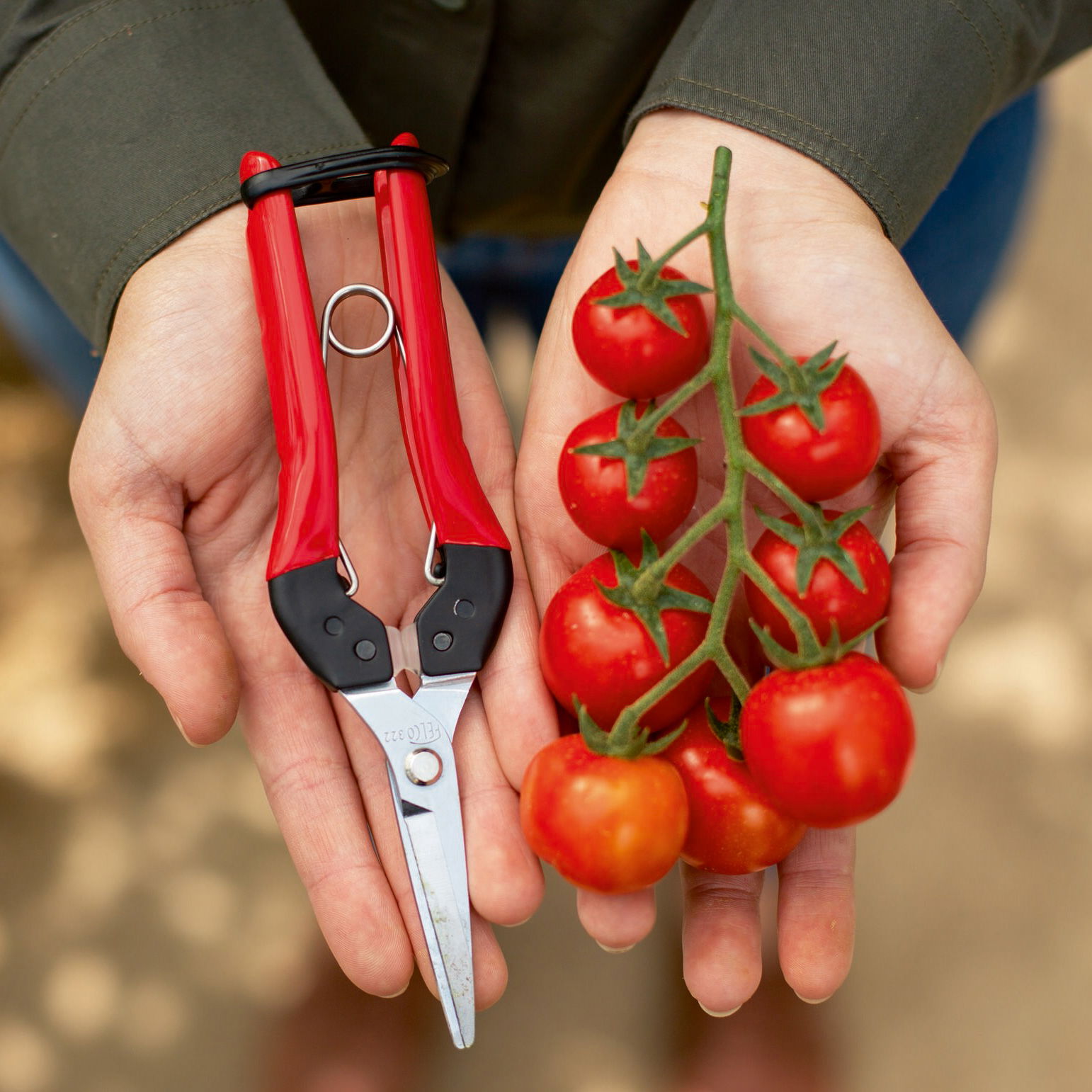 Felco Gartenschere Nr. 322 Felco Gartenschere Nr. 322