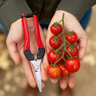 Felco Gartenschere Nr. 322 Felco Gartenschere Nr. 322