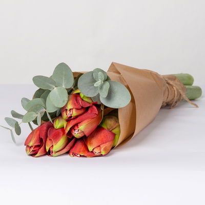 Schnittblumen-Mix aus 5 roten Amaryllis & 5 Eukalyptus Schnittblumen-Mix aus 5 roten Amaryllis & 5 Eukalyptus