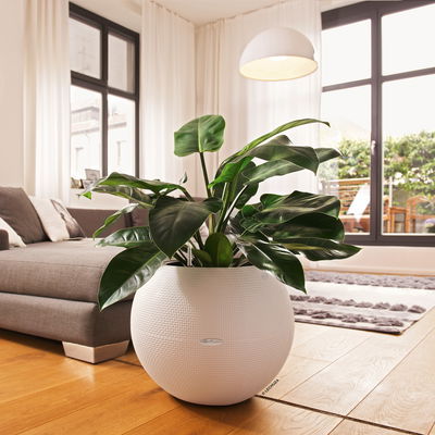 Lechuza 'Puro Color 50', weiß, ca. Ø 50 x H 39 cm Lechuza 'Puro Color 50', weiß, ca. Ø 50 x H 39 cm