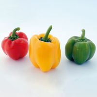 Snack-Paprika 'Midinor Red', 'Snackor Yellow', 'Snackor Orange' inkl. Greenbar®