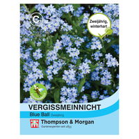 Thompson & Morgan Blumensamen Vergissmeinnich Blue Ball