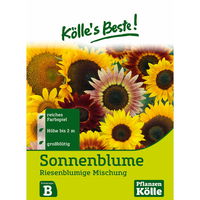 Kölle's Beste Blumensamen Sonnenblume Riesenblumige Mischung (Helianthus)