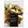 Sterne, 12er-Set, gold, ca. B 9 x H 12 cm Sterne, 12er-Set, gold, ca. B 9 x H 12 cm