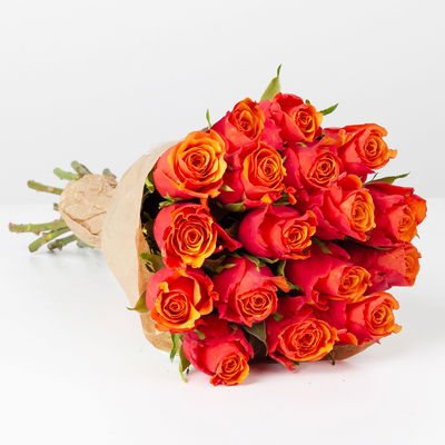 17 orange/rote Rosen 'Espana'