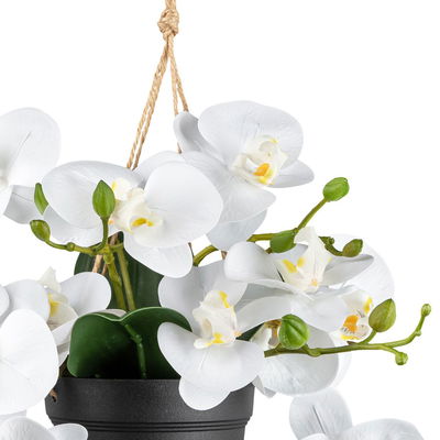 Künstlicher Phalaenopsis, weiß, Höhe ca. 25 cm Künstlicher Phalaenopsis, weiß, Höhe ca. 25 cm