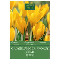 großblumige Krokusse, gelb, 25 Blumenzwiebeln