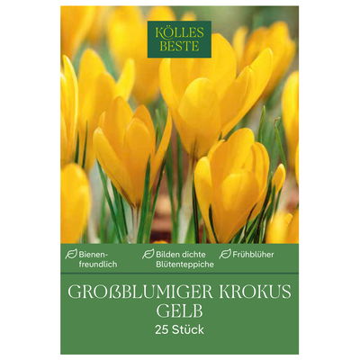 großblumige Krokusse, gelb, 25 Blumenzwiebeln großblumige Krokusse, gelb, 25 Blumenzwiebeln