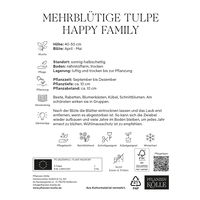 Mehrblütige Tulpe 'Happy Family', rosa, 7 Blumenzwiebeln