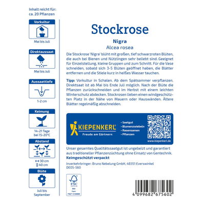 Blumensamen, Stockrose 'Nigra', schwarzrot