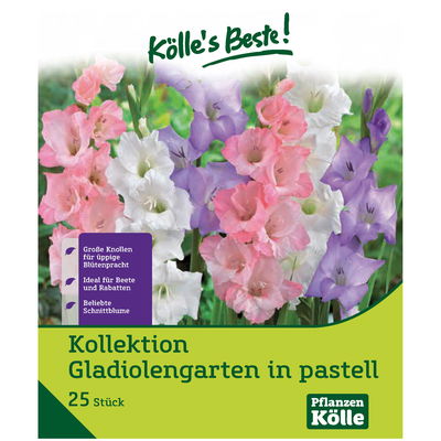 Gladiolengarten in pastell 25 Blumenknollen Gladiolengarten in pastell 25 Blumenknollen