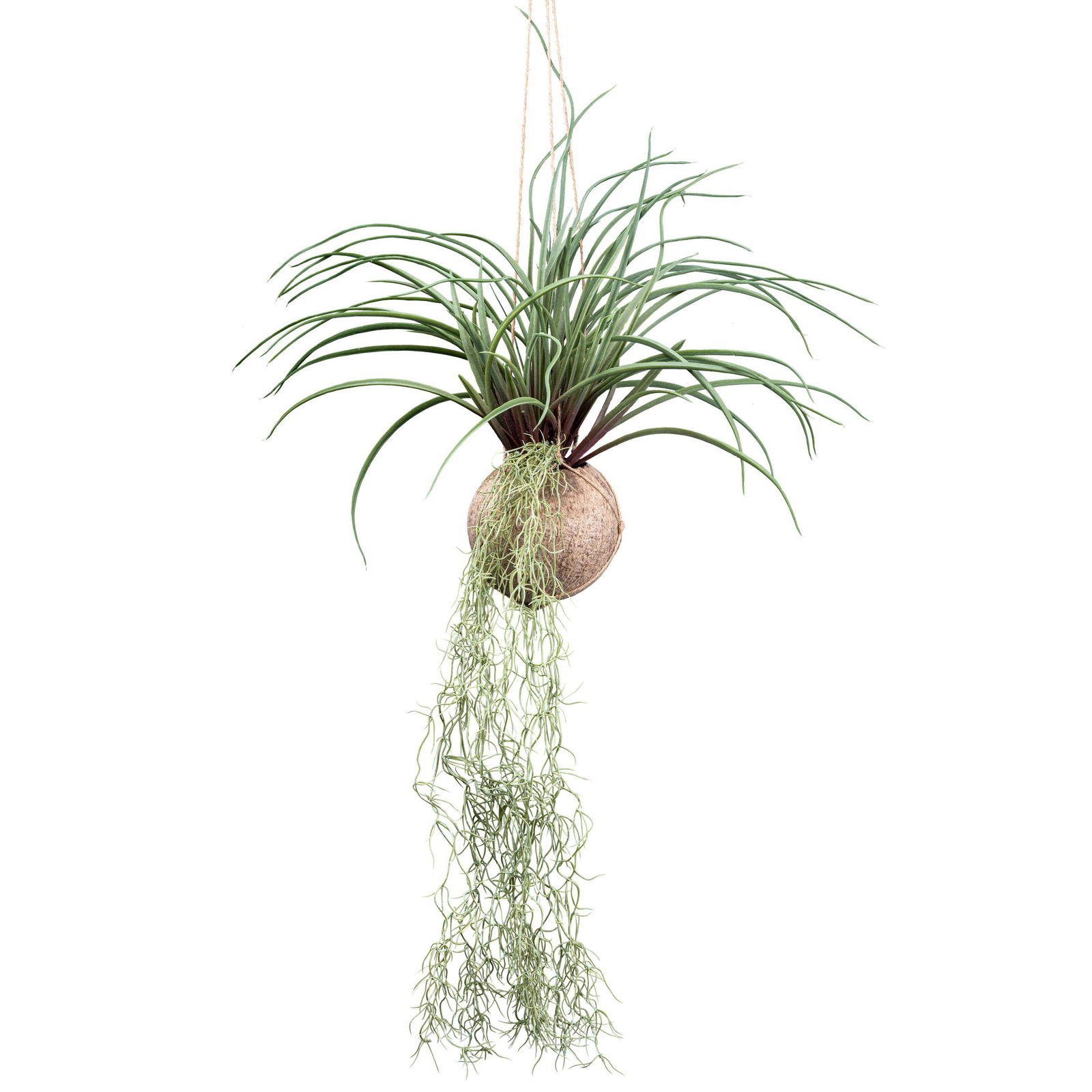 Künstliche Tillandsia stricta, Höhe ca. 72 cm